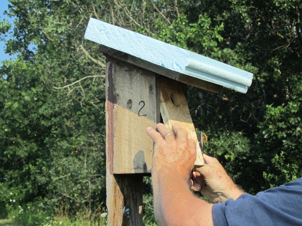 Nest box with insulation.