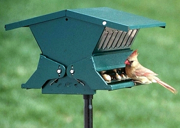 Hopper feeder with latched top is easy to fill with seed.