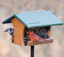 Classic hopper feeder made from recycled plastic milk jugs.