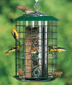 A tube feeder with wire mesh can reduce the number of squirrels and starlings eating the seed.