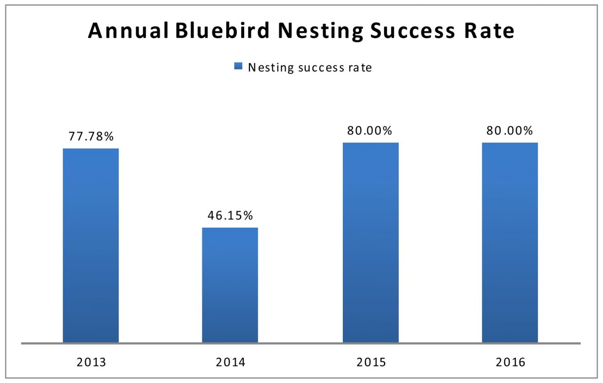 annual-bb-nesting-success-rate-2013-2016