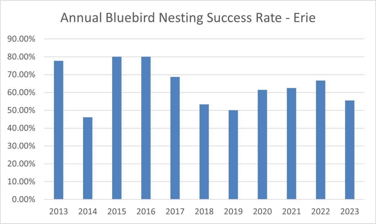 Annual Bluebird Nesting Success Rate - Erie