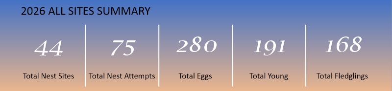 2026 All Sites Summary: 44 total nest sites, 75 total nest attempts, 280 total eggs, 191 total young, and 168 total fledglings.